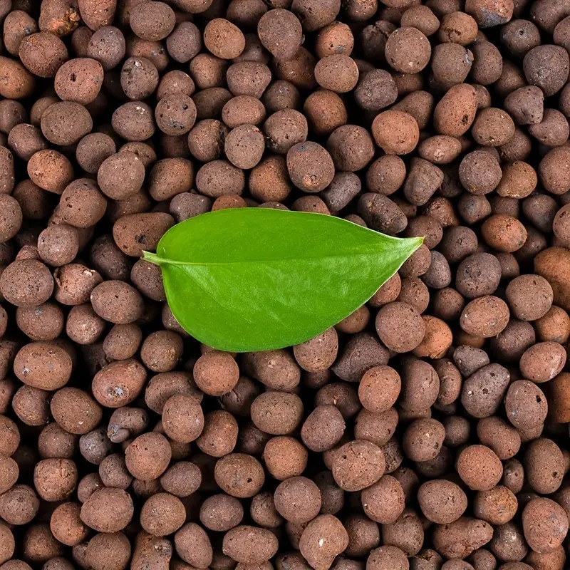 Clay Pebble Growing - Vasos de arcilla hidropónica reutilizables de