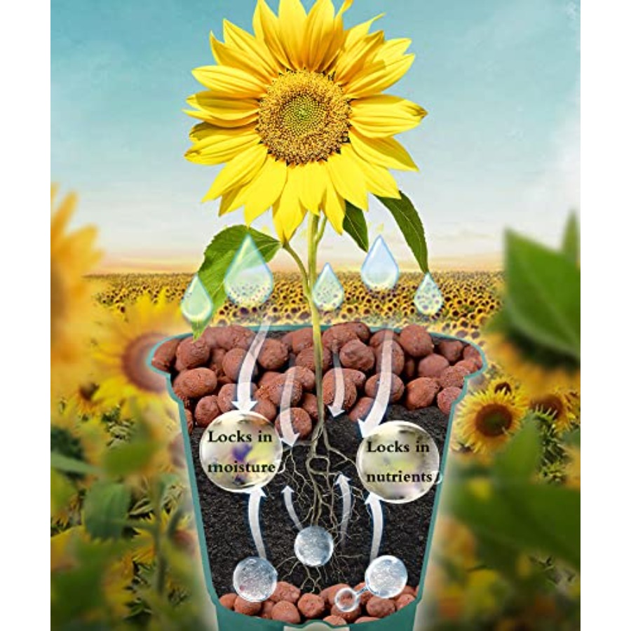 Voulosimi - Piedras de Arcilla - Clay Pebble Growing reseña y precio