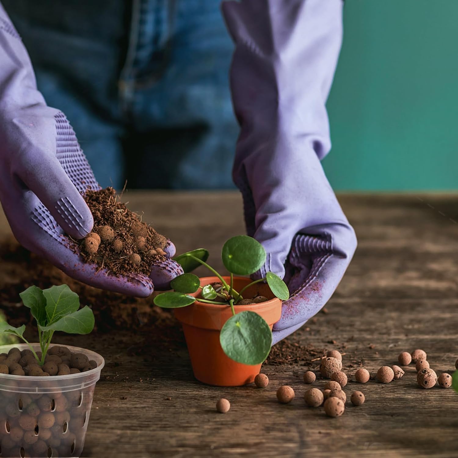 Bolas de Arcilla Orgánica de 2 - Clay Pebble Growing reseña y precio
