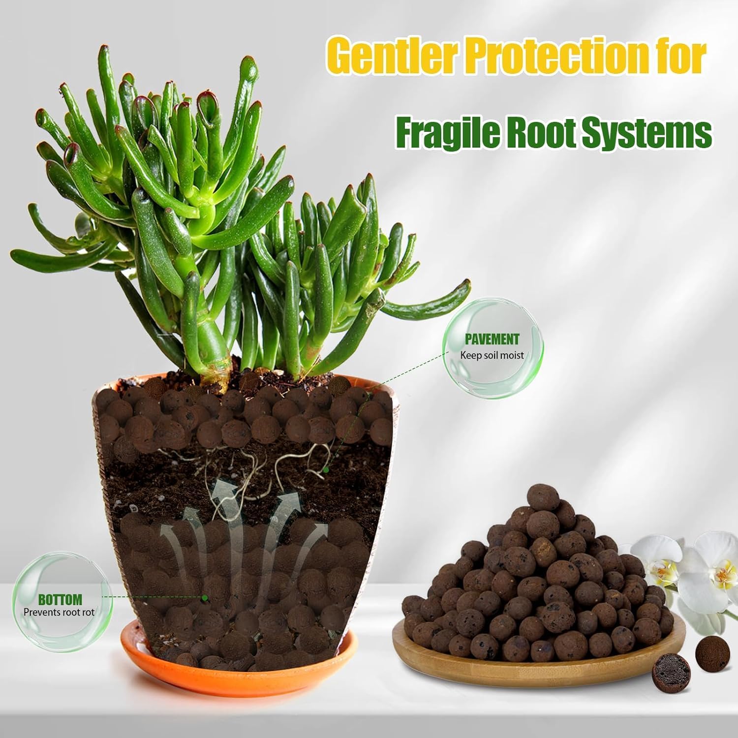 Bolas de Arcilla Orgánica de 2 - Clay Pebble Growing reseña y precio