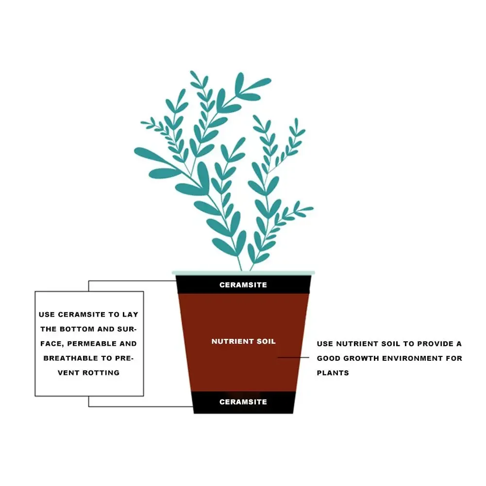 Vasos de arcilla expandidos na - Clay Pebble Growing reseña y precio