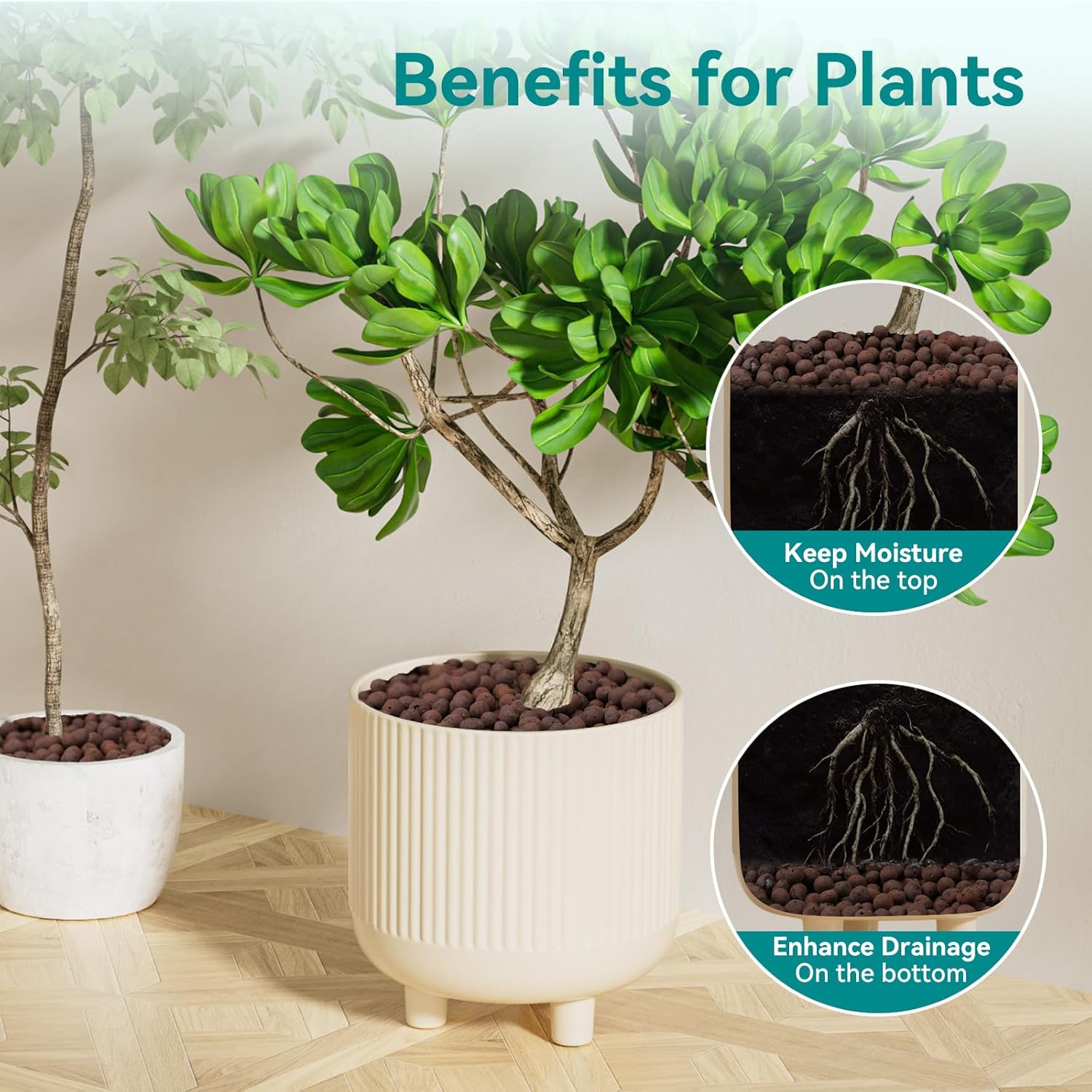 100/200G de Bolitas de Arcilla - Clay Pebble Growing reseña y precio