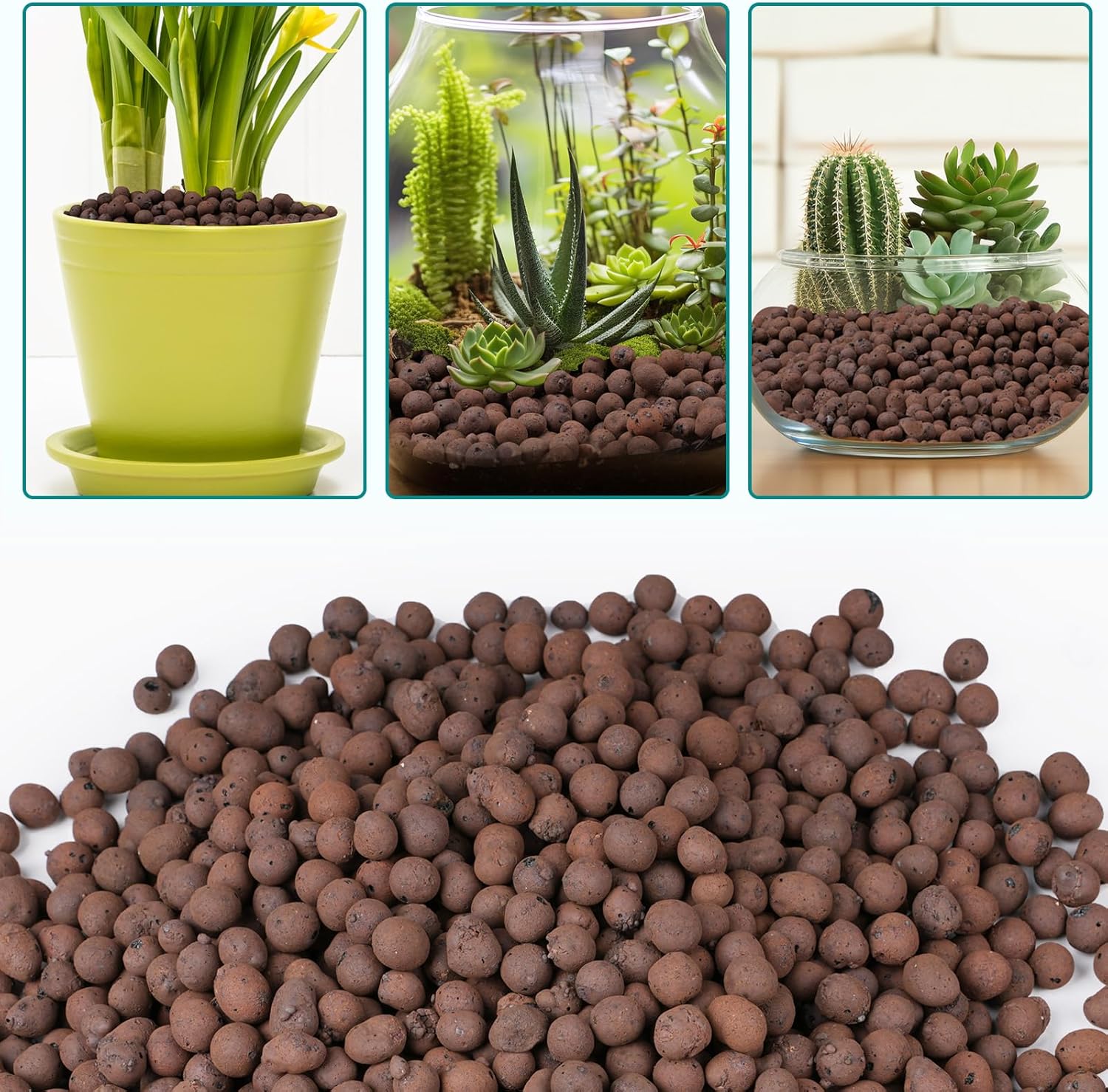 100/200G de Bolitas de Arcilla - Clay Pebble Growing reseña y precio