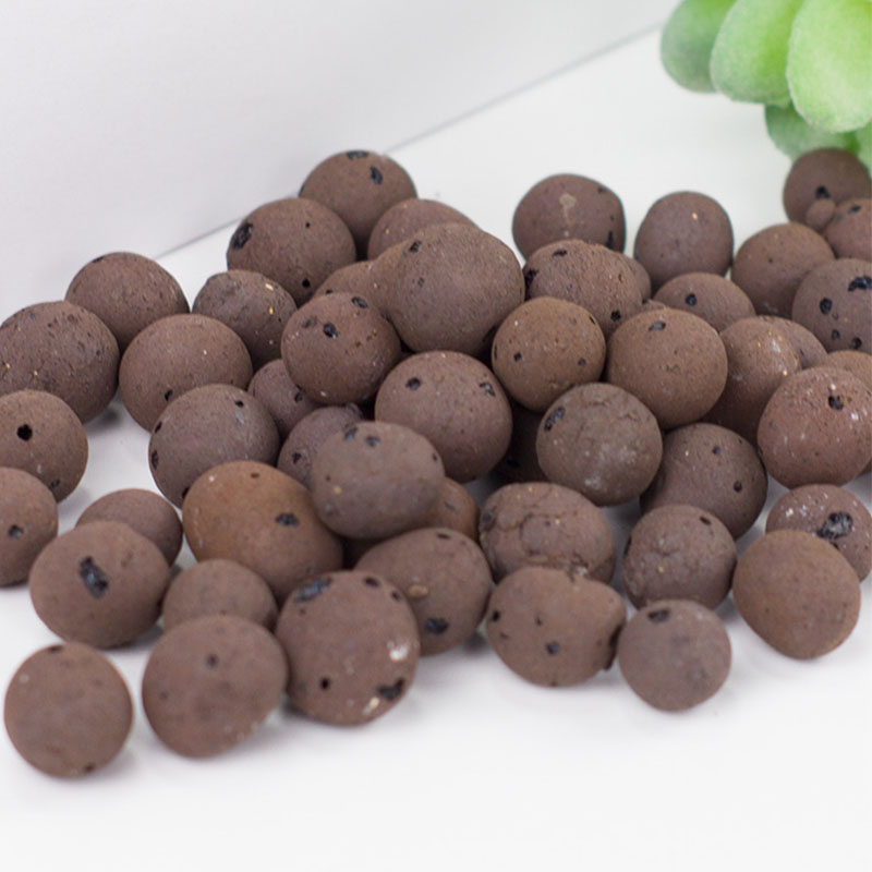 Guijarros de arcilla de cerámi - Clay Pebble Growing reseña y precio