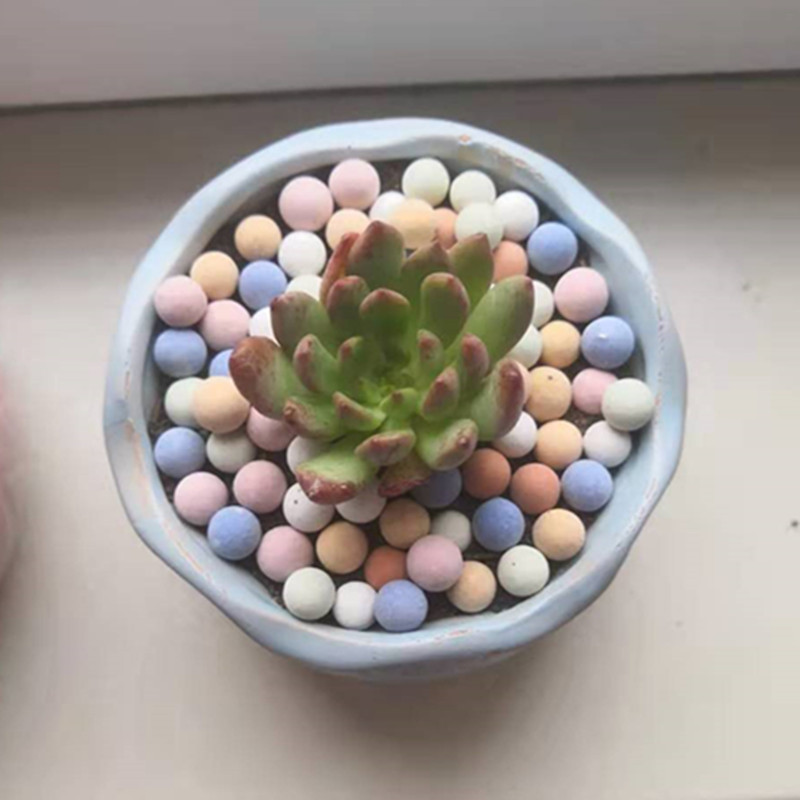 Guijarros de arcilla expandida - Clay Pebble Growing reseña y precio